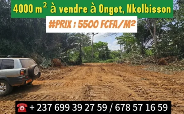 TERRAIN TITRÉ À VENDRE À ONGOT NKOLBISSON YAOUNDE CAMEROUN