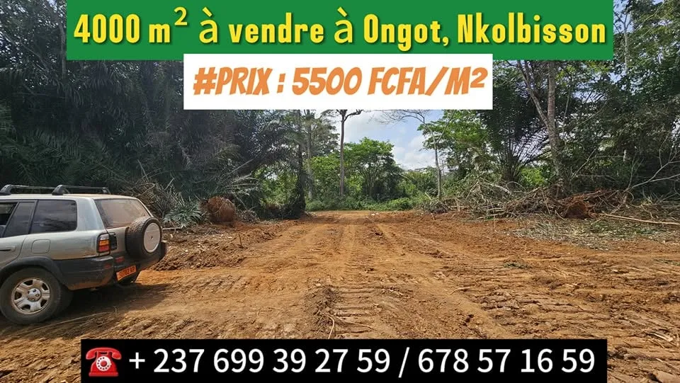 TERRAIN TITRÉ À VENDRE À ONGOT NKOLBISSON YAOUNDE CAMEROUN