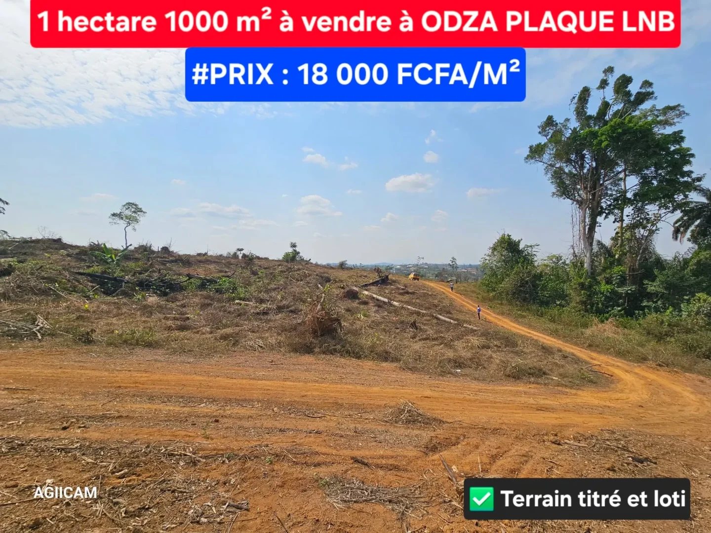 VENTE D’UN GRAND TERRAIN TITRÉ EN PLEIN CARREFOUR – ODZA PLAQUE LNB 