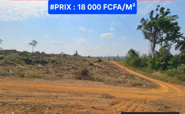 VENTE D’UN GRAND TERRAIN TITRÉ EN PLEIN CARREFOUR – ODZA PLAQUE LNB 
