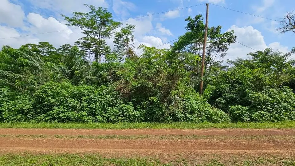 VENTE FLASH : TERRAIN AGRICOLE À MBANKOMO  ETIL BIBEGUE