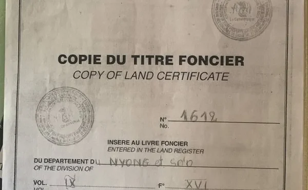 Terrain titré et loti d&rsquo;une superficie de 1450 m² à vendre à Mbalmayo au quartier Ngallan